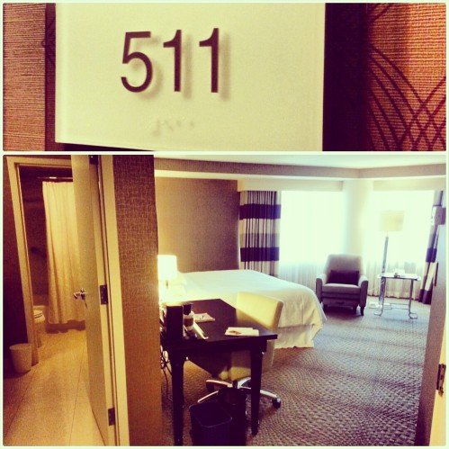 3 out of 4 times that I had a layover in this hotel, they gave me this same room. :)
